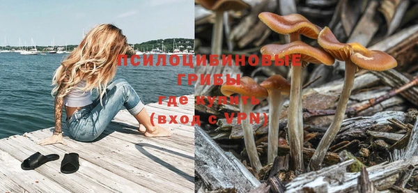 mix Абаза