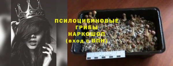 тгк Алексин