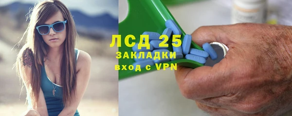 сатива Абинск