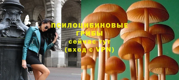 сатива Абинск