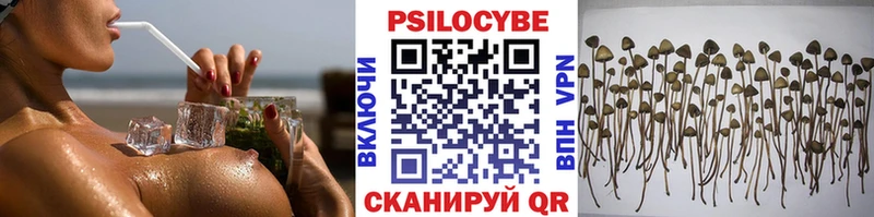Галлюциногенные грибы мицелий  Саранск 